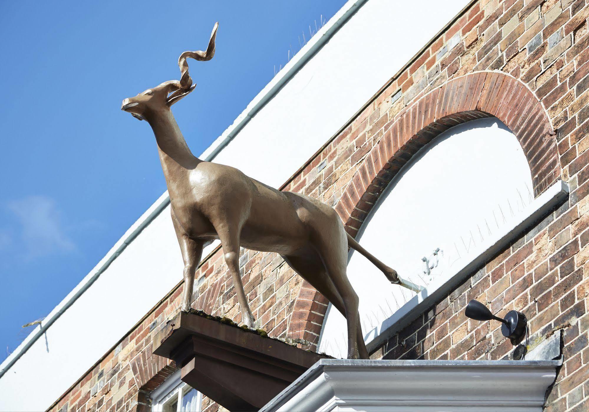Antelope By Greene King Inns Пул Экстерьер фото